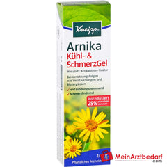 Kneipp Arnika Kühl- und SchmerzGel, 100 g.