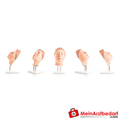 Erler-Zimmer Kopf für Gesichtsinjektionen.