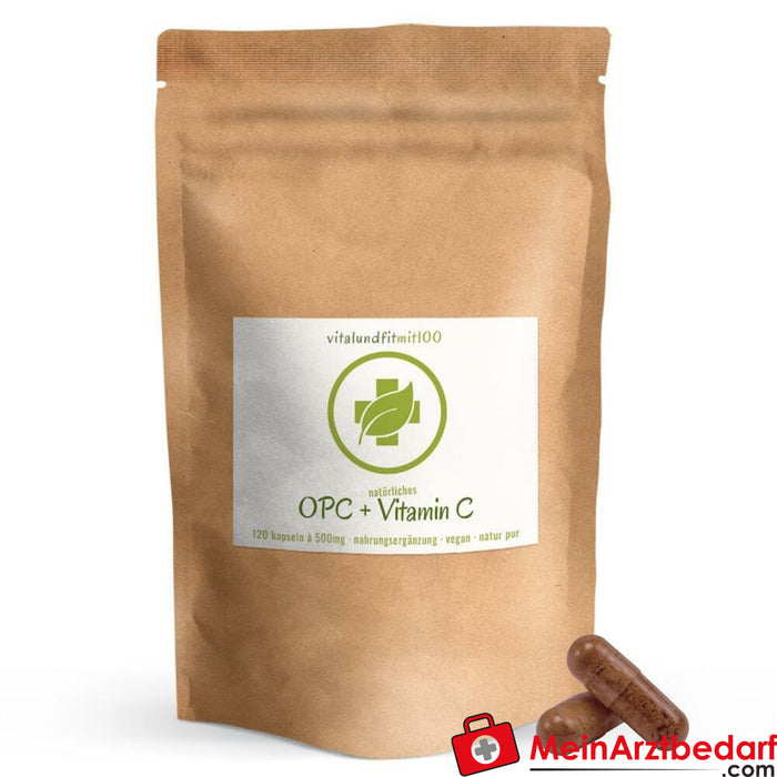 Extrait de pépins de raisin OPC + vitamine C naturelle gélules 120 pièces à 400 mg