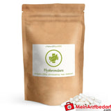 Hyaluronsäure Kapseln 600 mg|hochdosiert.