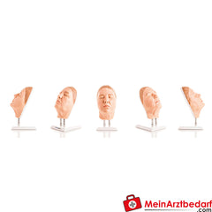 Erler-Zimmer Kopf für Gesichtsinjektionen.