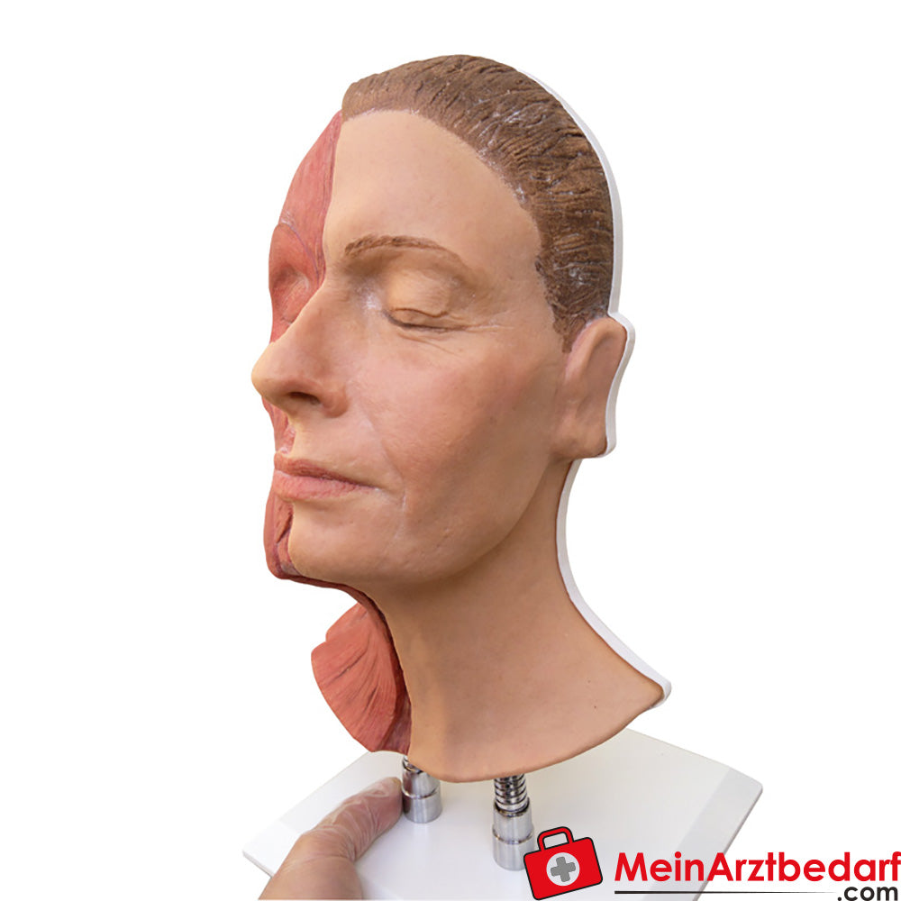 Erler Zimmer head for facial injections, half-sided musculature