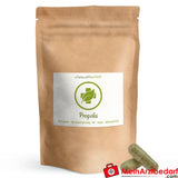 Bio Propolis Kapseln 224 mg.