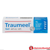 Traumeel Gel ad us vet 50 g