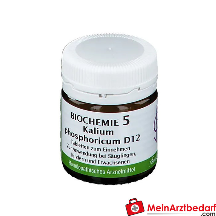 BİYOKİMYA 5 Potasyum fosforikum D12