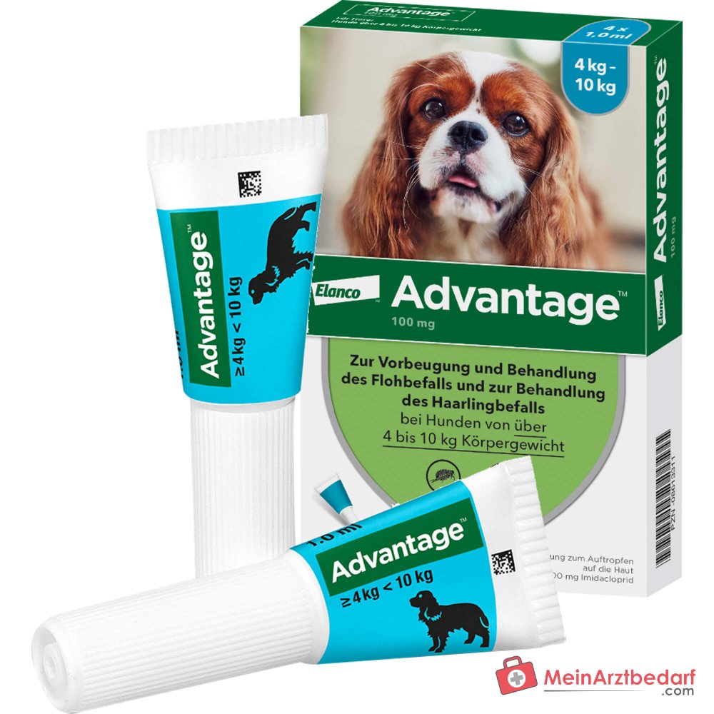 Advantage 100 Imidacloprid 100 mg/ml Spot-on Lösung Hund 4–10 kg 4 St
