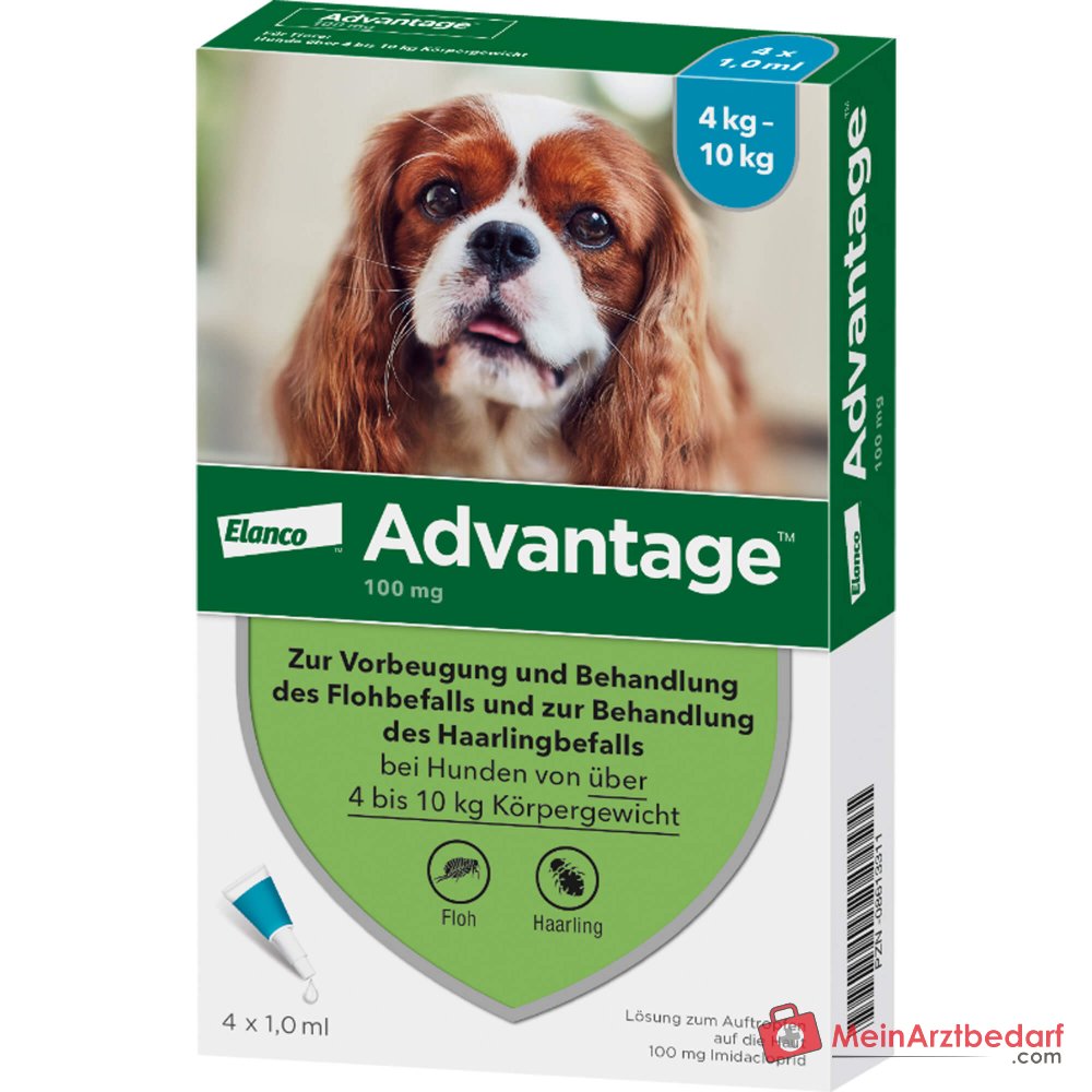 Advantage 100 Imidacloprid 100 mg/ml Spot-on Lösung Hund 4–10 kg 4 St