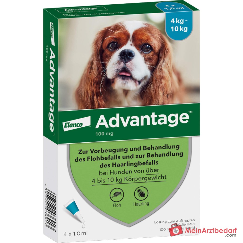 Advantage 100 Imidacloprid 100 mg/ml Spot-on Lösung Hund 4–10 kg 4 St
