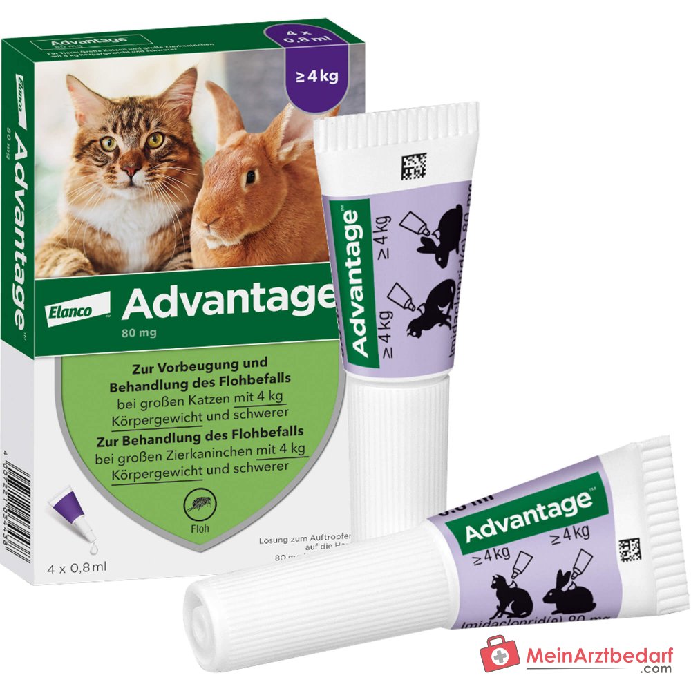 Advantage Imidacloprid 80 mg/ml Spot-on gato 4 x 0,8 ml