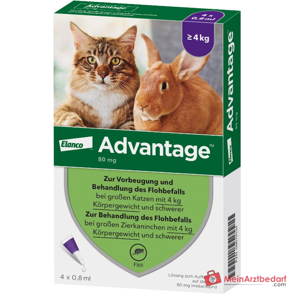 Advantage Imidacloprid 80 mg/ml Spot-on gato 4 x 0,8 ml