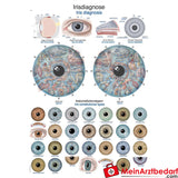 Erler-Zimmer Lehrtafel "Irisdiagnose".