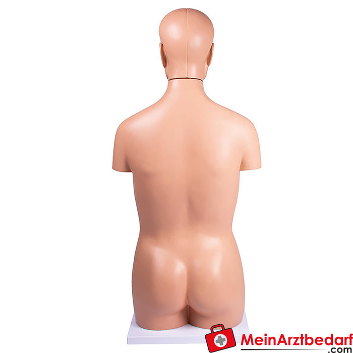 Erler Zimmer Torso, geschlechtslos, 12 Teile