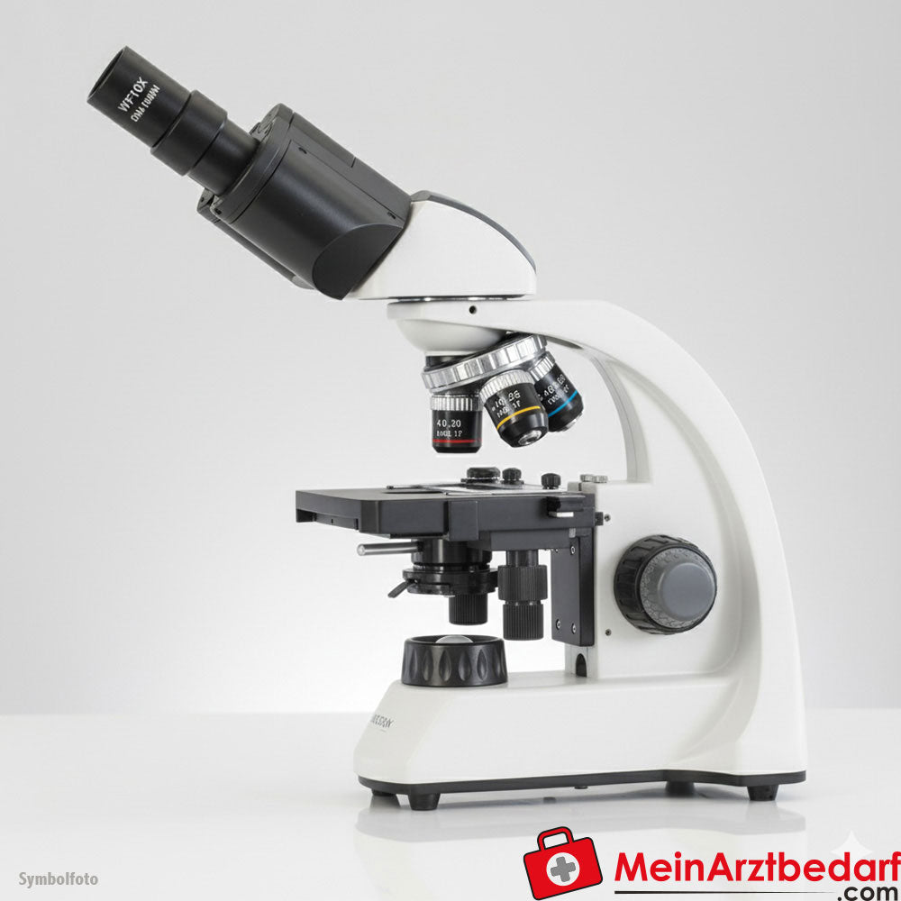 KERN OBT 106 Durchlichtmikroskop, Schulmikroskop, Binokular