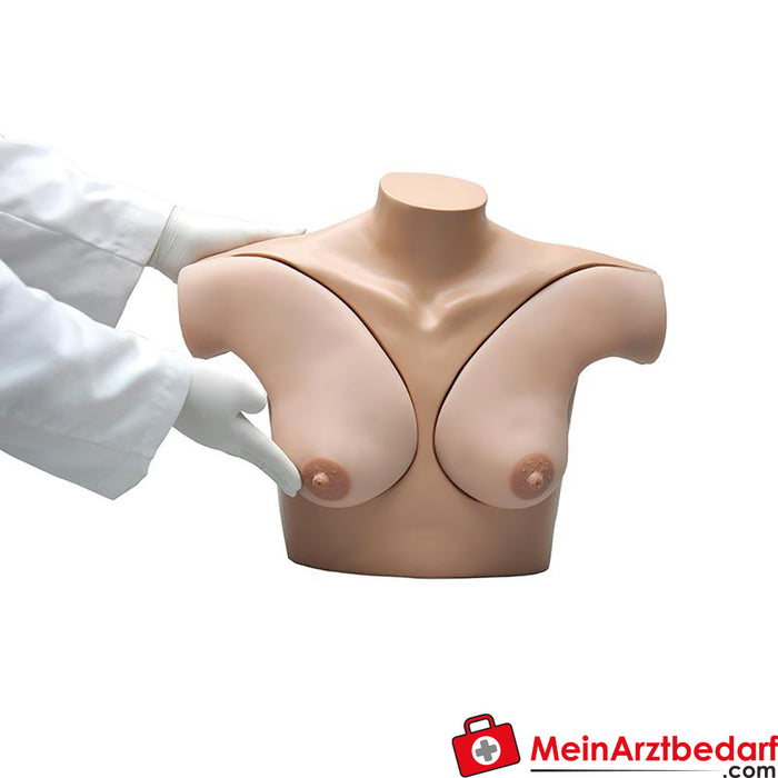 Erler Zimmer Modello pratico di esame del seno
