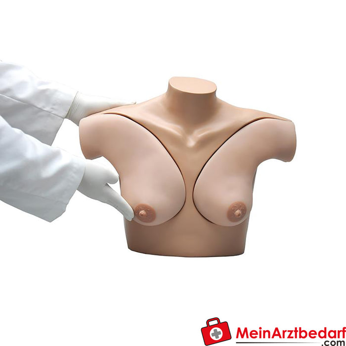 Erler Zimmer Practice model breast examination