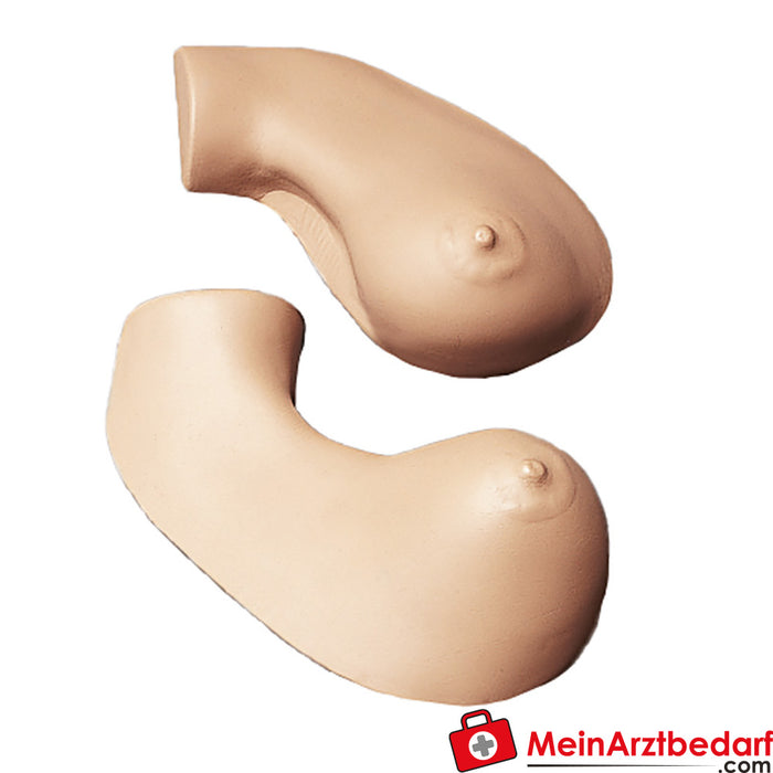 Erler Zimmer Practice model breast examination