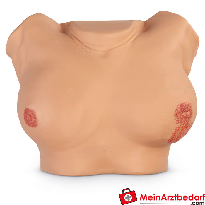 Erler Zimmer accessories for breast examination simulator