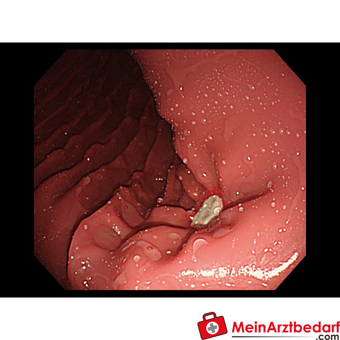 Erler Zimmer Symulator OGD (Oesophago-Gastro-Duodenoscopy)