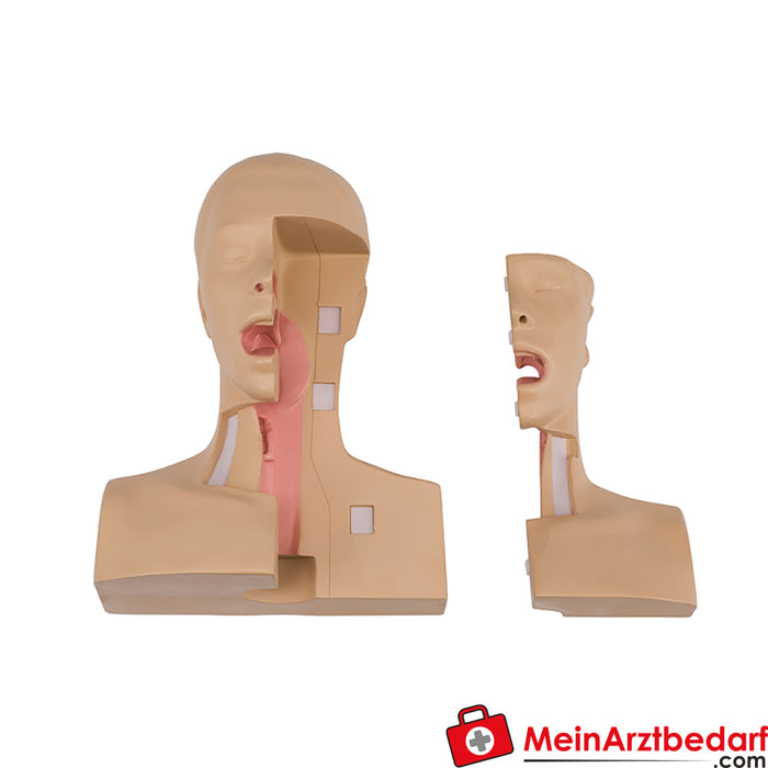 Erler Zimmer Tracheostomy Management Simulator