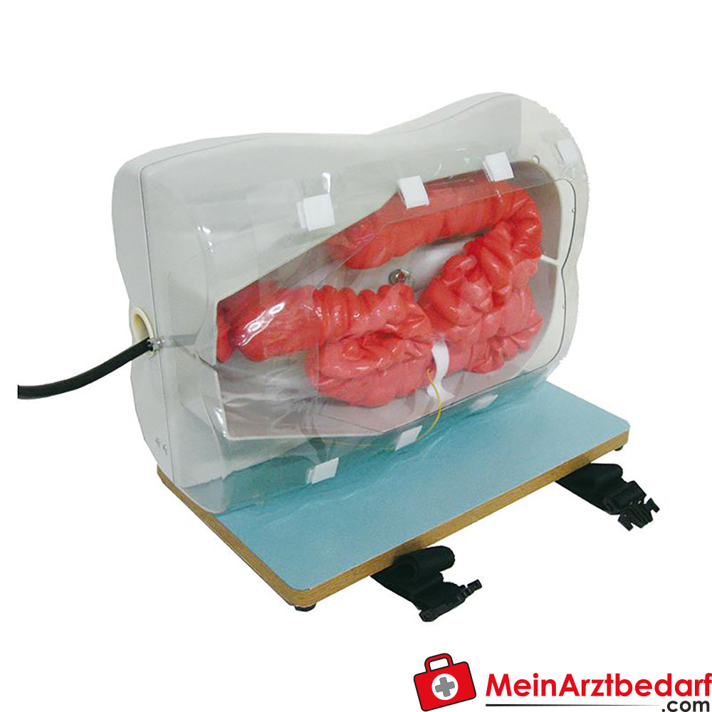 Erler-Zimmer Koloskopie-Simulator.