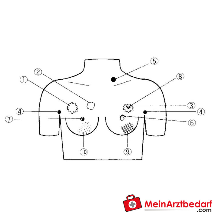 Erler Zimmer Brustkrebs-Tastmodell