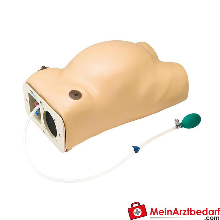 Erler Zimmer Pregnancy examination model with heart sound simulation