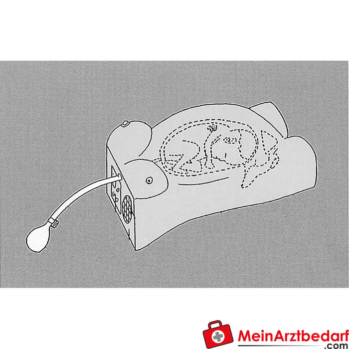 Erler Zimmer Pregnancy examination model with heart sound simulation