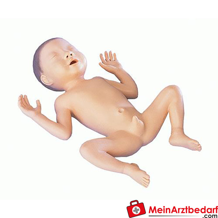 Modelo de bebé prematuro de Erler Zimmer