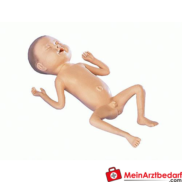 Erler odası prematüre bebek modeli