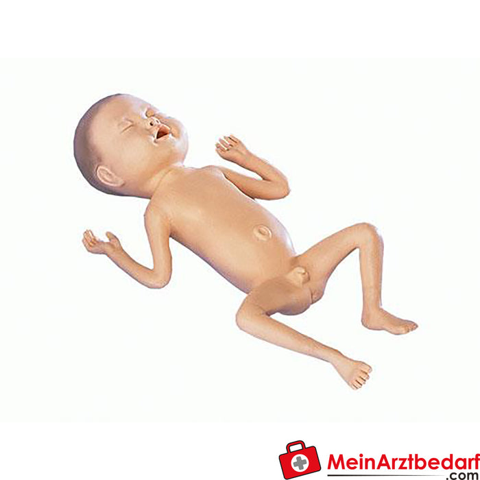 Modelo de bebé prematuro de Erler Zimmer