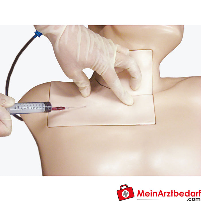 Erler Zimmer Simulator for central venipuncture