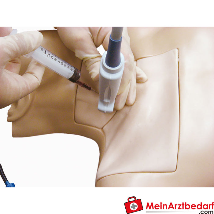 Erler Zimmer Simulator for central venipuncture