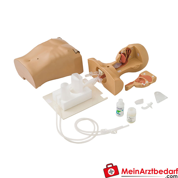 Erler Zimmer Simulator suction technique - nose/gastric tube