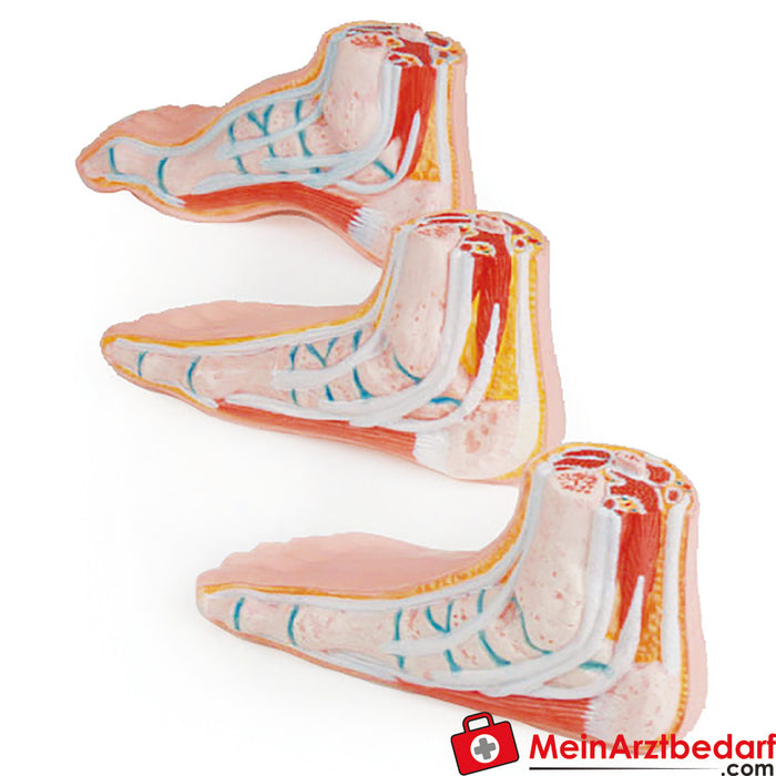 Erler Zimmer Miniature foot set