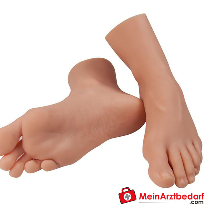 Erler Zimmer Foot replicas for care exercises