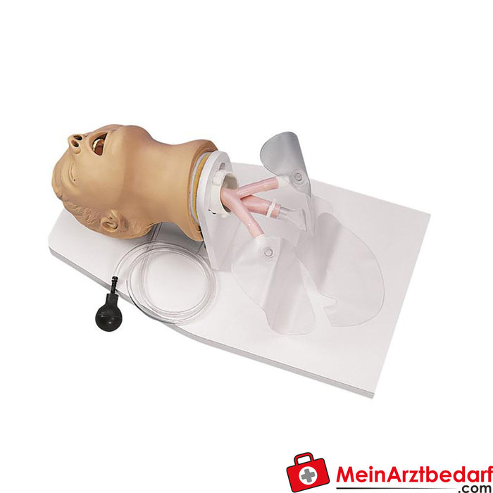 Erler Zimmer Accessoires pour dresseur d'intubation adulte