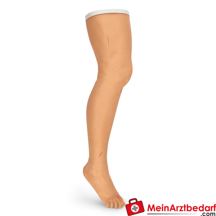 Erler Zimmer Seam leg