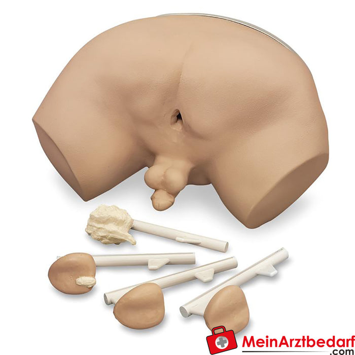 Erler Zimmer accessories for prostate examination simulator