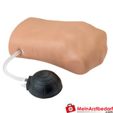 Erler-Zimmer Pneumothorax-Simulator.