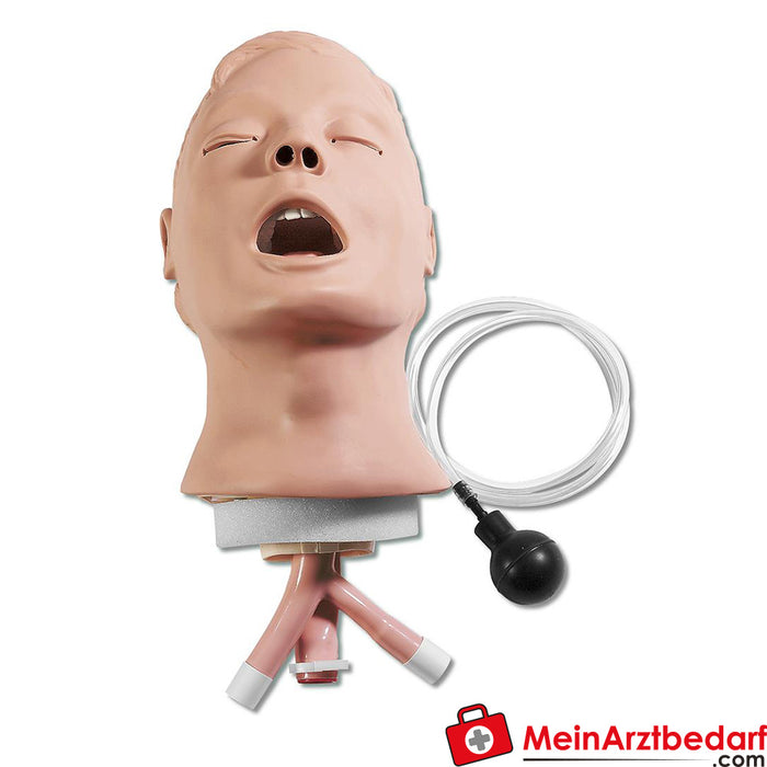 Erler Zimmer Airway Larry R10052 için hava yolu eğitim seti