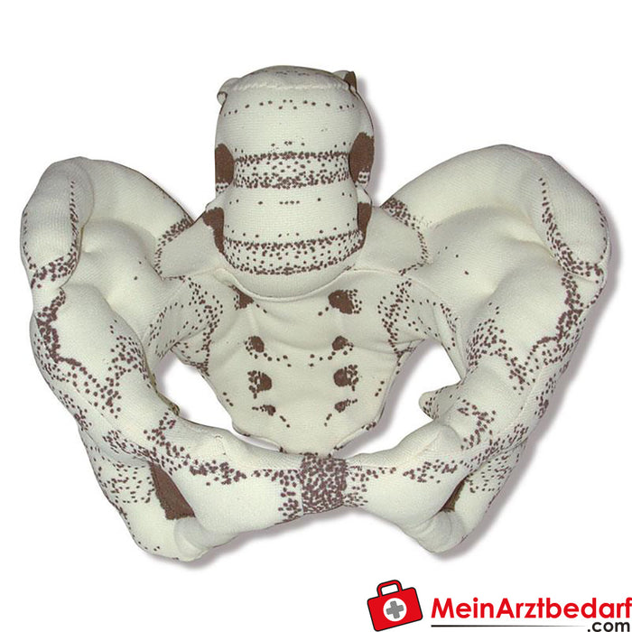 Erler Zimmer Fabric pelvis model