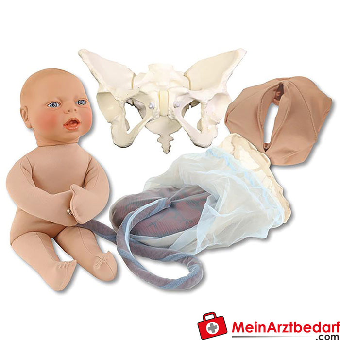 Erler Zimmer Luxury birth model set