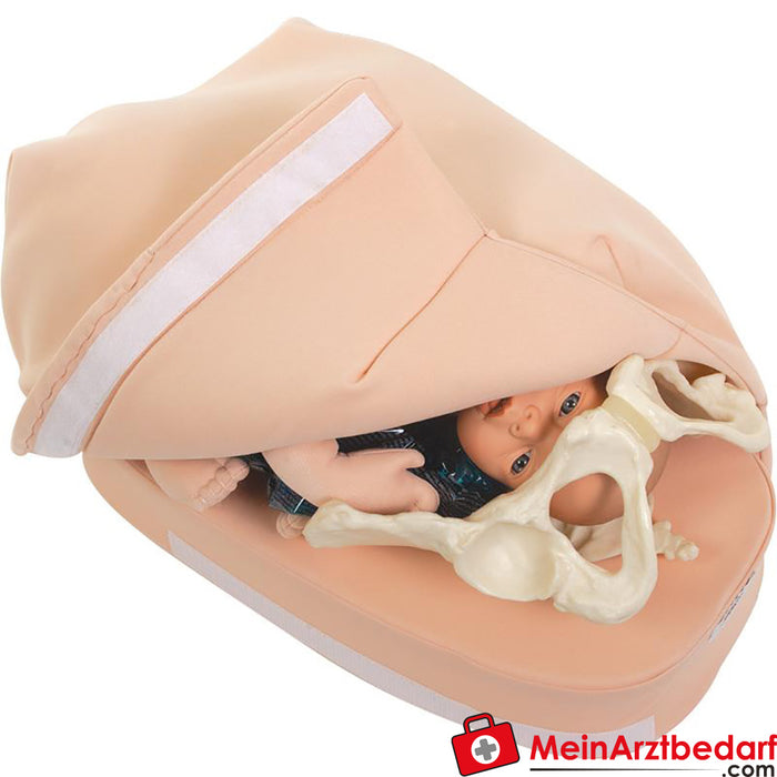 Erler Zimmer Model set abdominal palpation