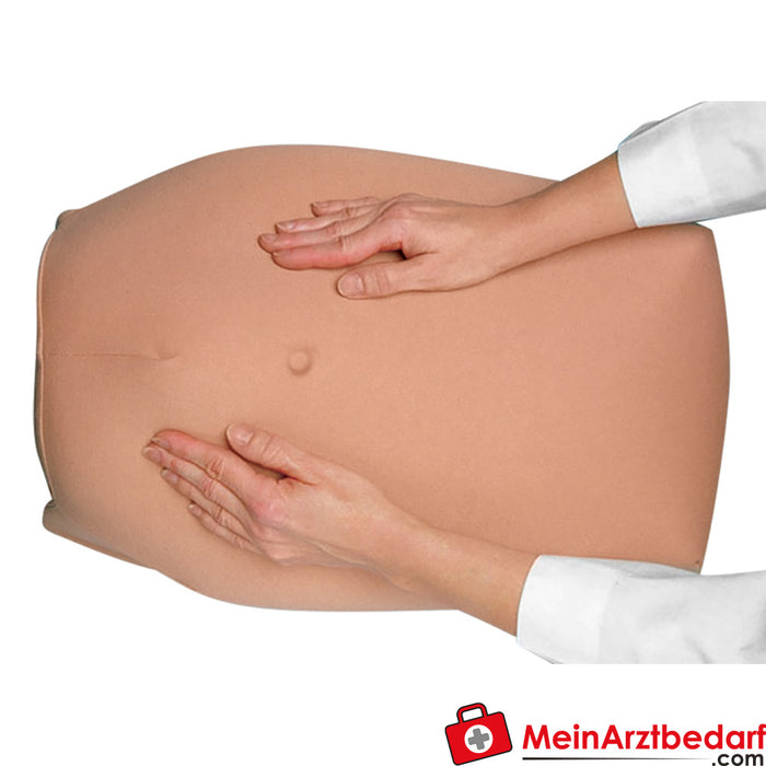 Erler Zimmer Modellset abdominale Palpation