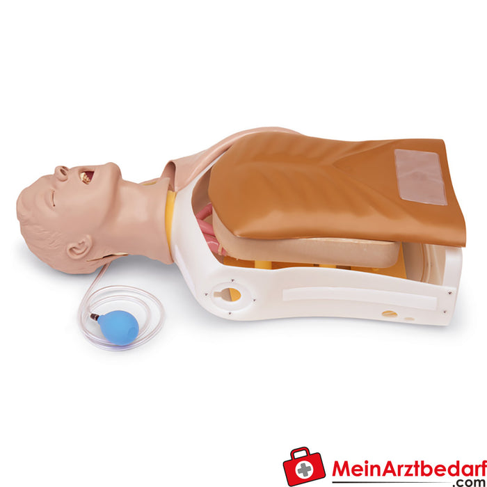 Erler Zimmer Advanced Airway Larry Entrenador para el manejo de las vías respiratorias para adultos Torso