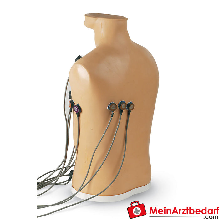 Erler Zimmer accessories for 15-lead ECG placement trainer