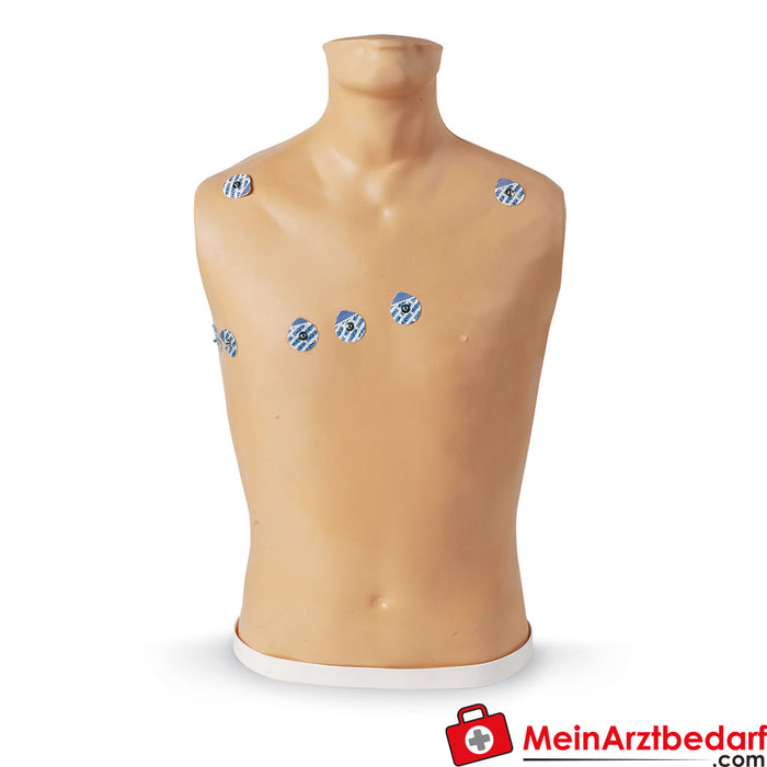 Erler Zimmer accessories for 15-lead ECG placement trainer