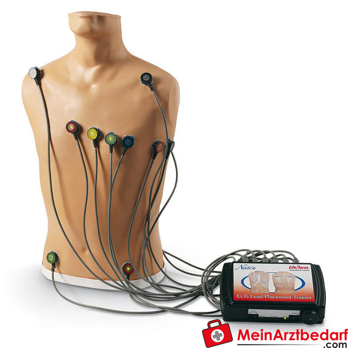 Erler Zimmer accessories for 15-lead ECG placement trainer