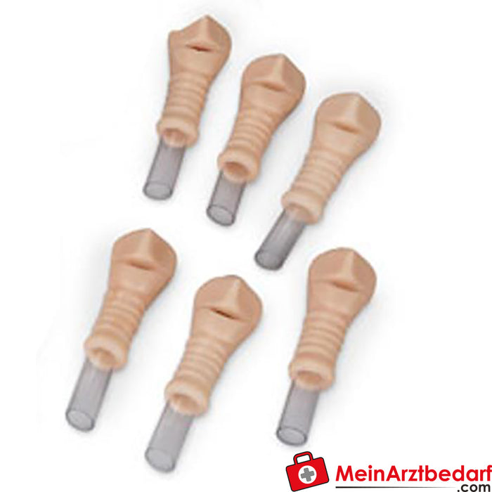 Erler Zimmer Trachea di ricambio, set da 6