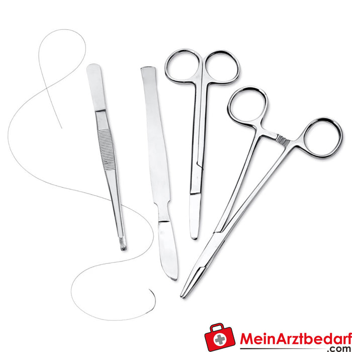 Erler Zimmer Perineal incision & perineal tear - suture trainer